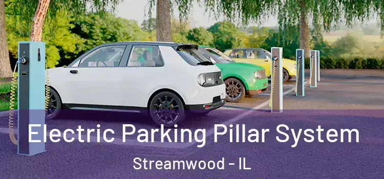  Electric Parking Pillar System Streamwood - IL