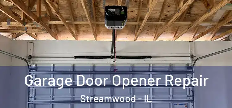  Garage Door Opener Repair Streamwood - IL