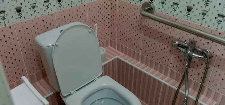 Meeting Diverse Needs With Accessible Restroom Solutions in Streamwood, IL